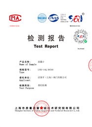 检测报告-流量计LVDC
