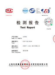 检测报告-止回阀CXSF